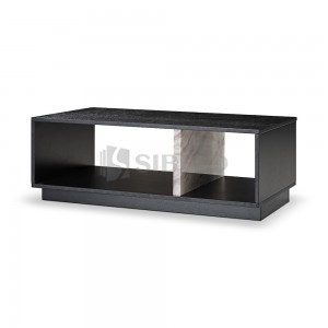 N9-GD-E326H COFFEE TABLE